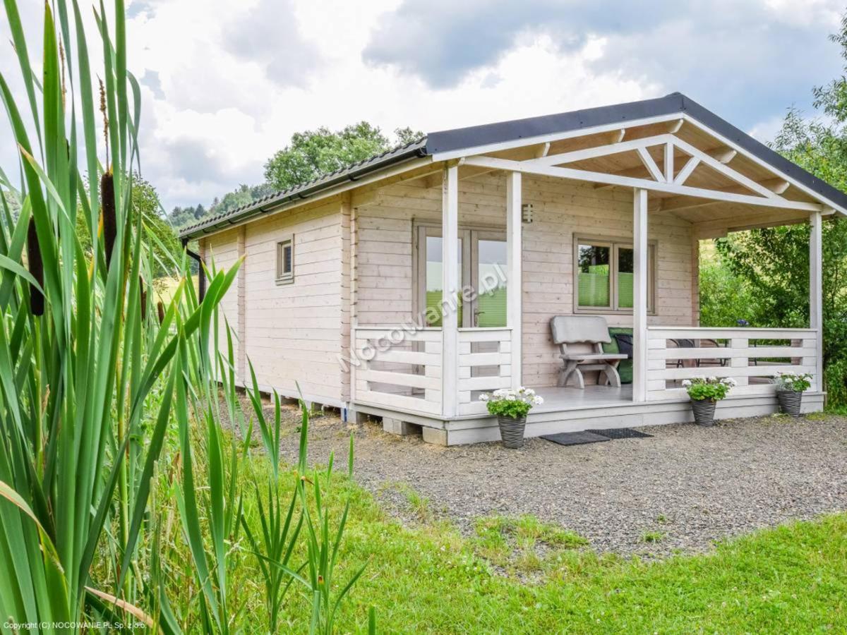 Domek Nad Rozlewiskiem Bad Kudowa Exterior foto